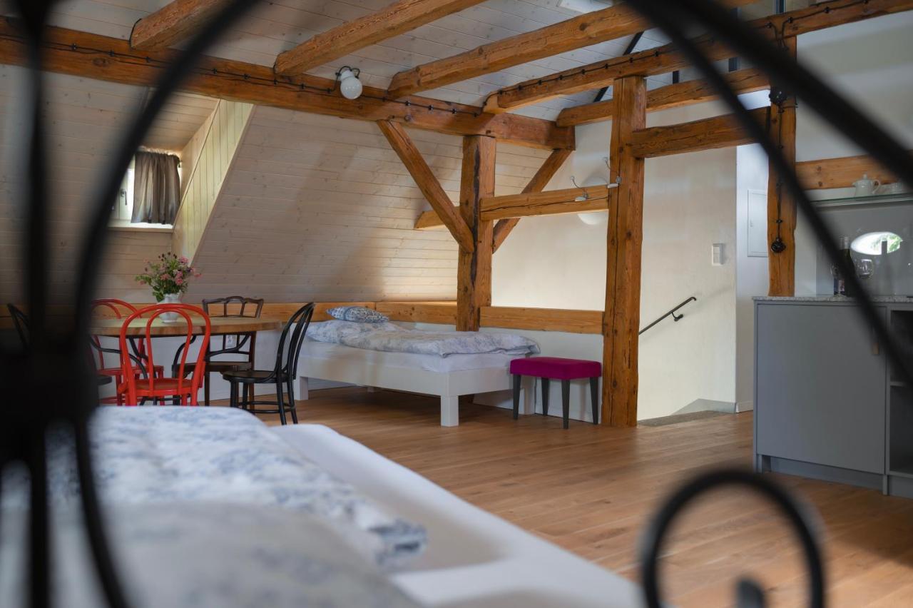 Mlyn Salajna Apartment Dolni Zandov Bagian luar foto