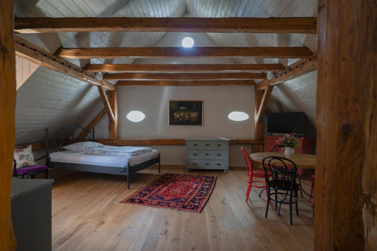 Mlyn Salajna Apartment Dolni Zandov Bagian luar foto