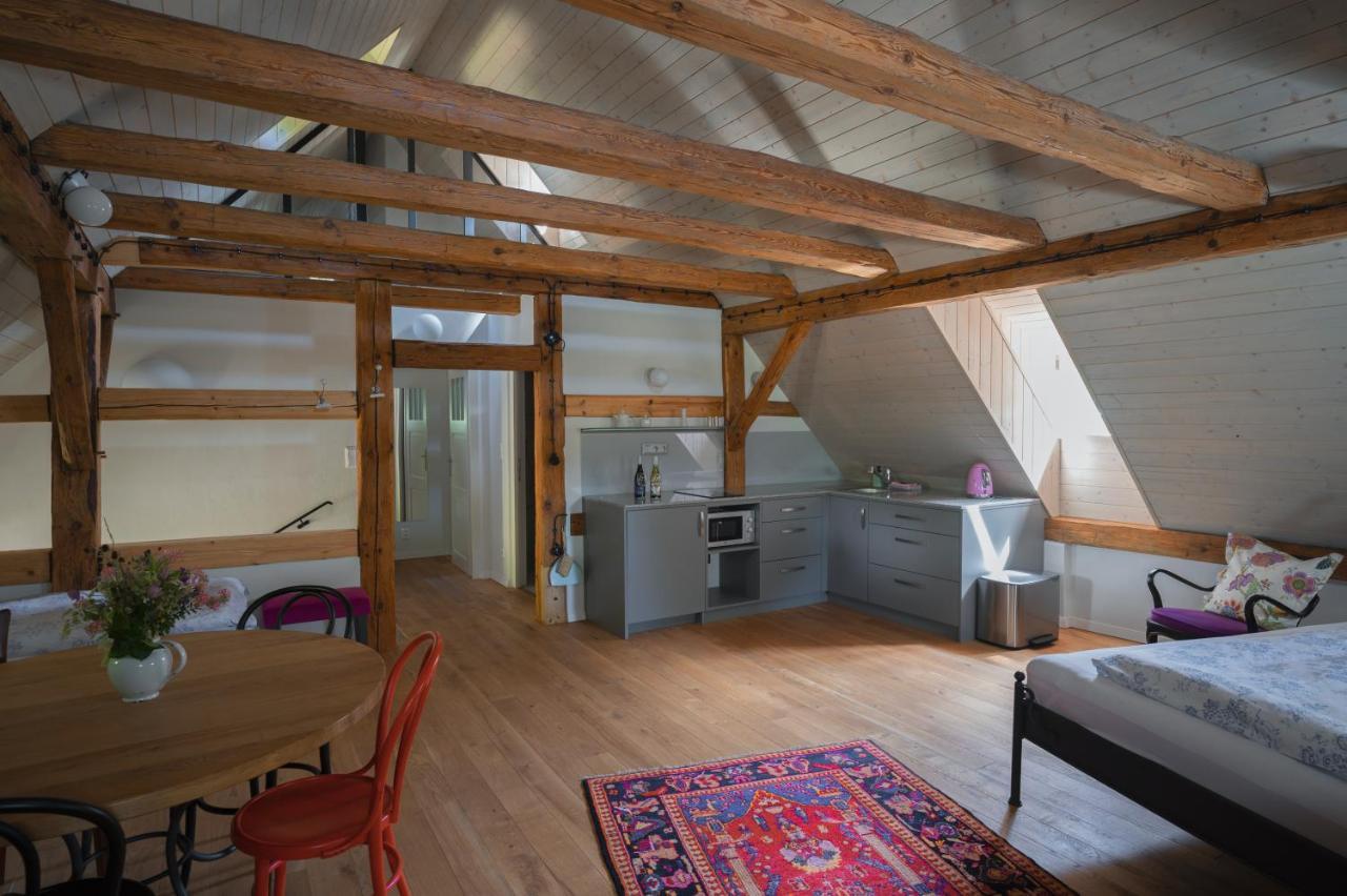Mlyn Salajna Apartment Dolni Zandov Bagian luar foto